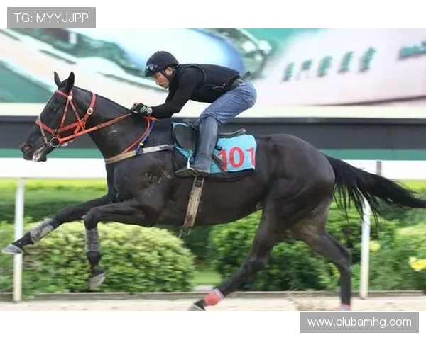澳门赛马今天的热门赛马预测与精彩比赛集锦推荐